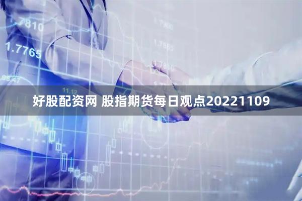 好股配资网 股指期货每日观点20221109