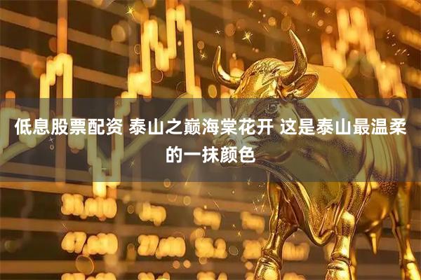 低息股票配资 泰山之巅海棠花开 这是泰山最温柔的一抹颜色