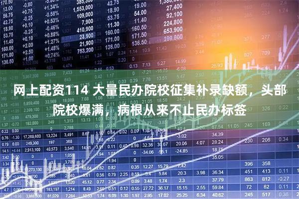 网上配资114 大量民办院校征集补录缺额，头部院校爆满，病根从来不止民办标签